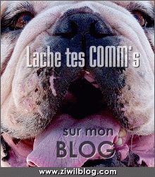 lache t'es comm's